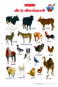 10 pc Chart - Thematic