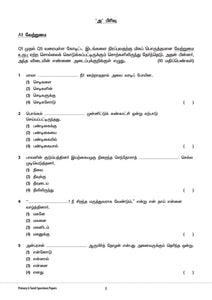 CPD Primary 6 Assessment Book