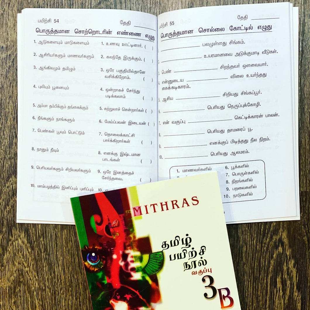 Mithras Primary 3B Assessment Book